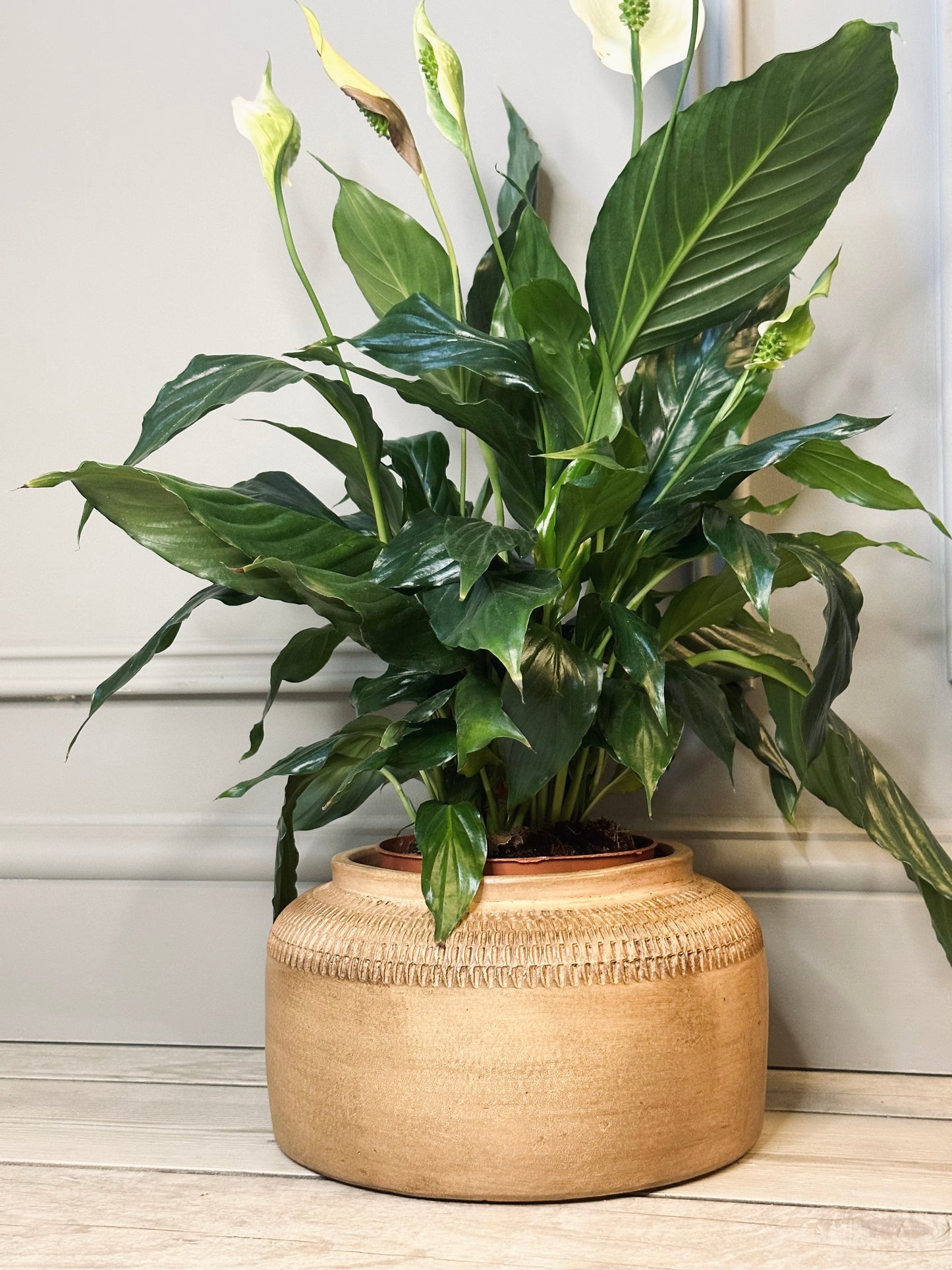 Oulu Terracotta Vase Antique
