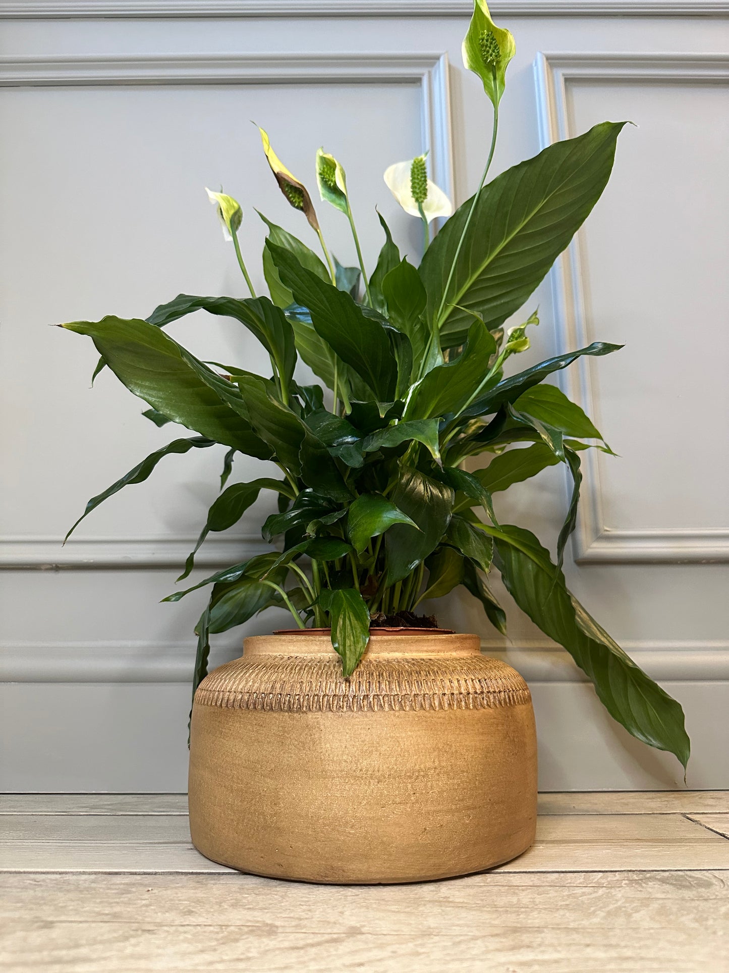 Oulu Terracotta Vase Antique
