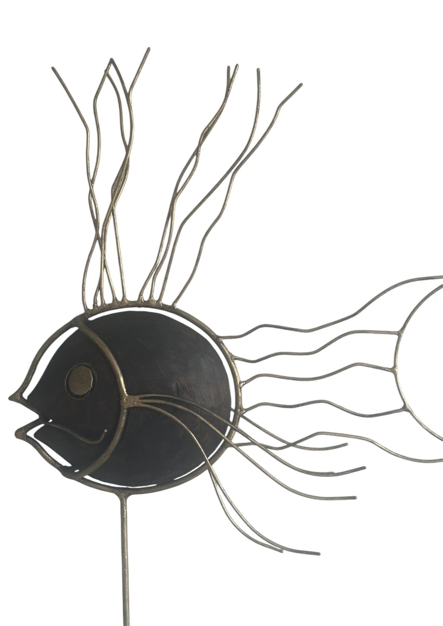 Stunning Fish Ornament