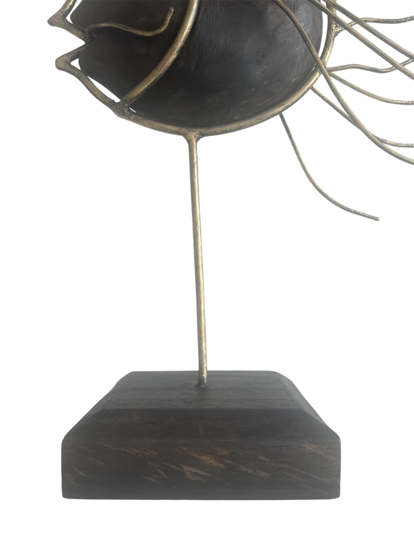 Stunning Fish Ornament