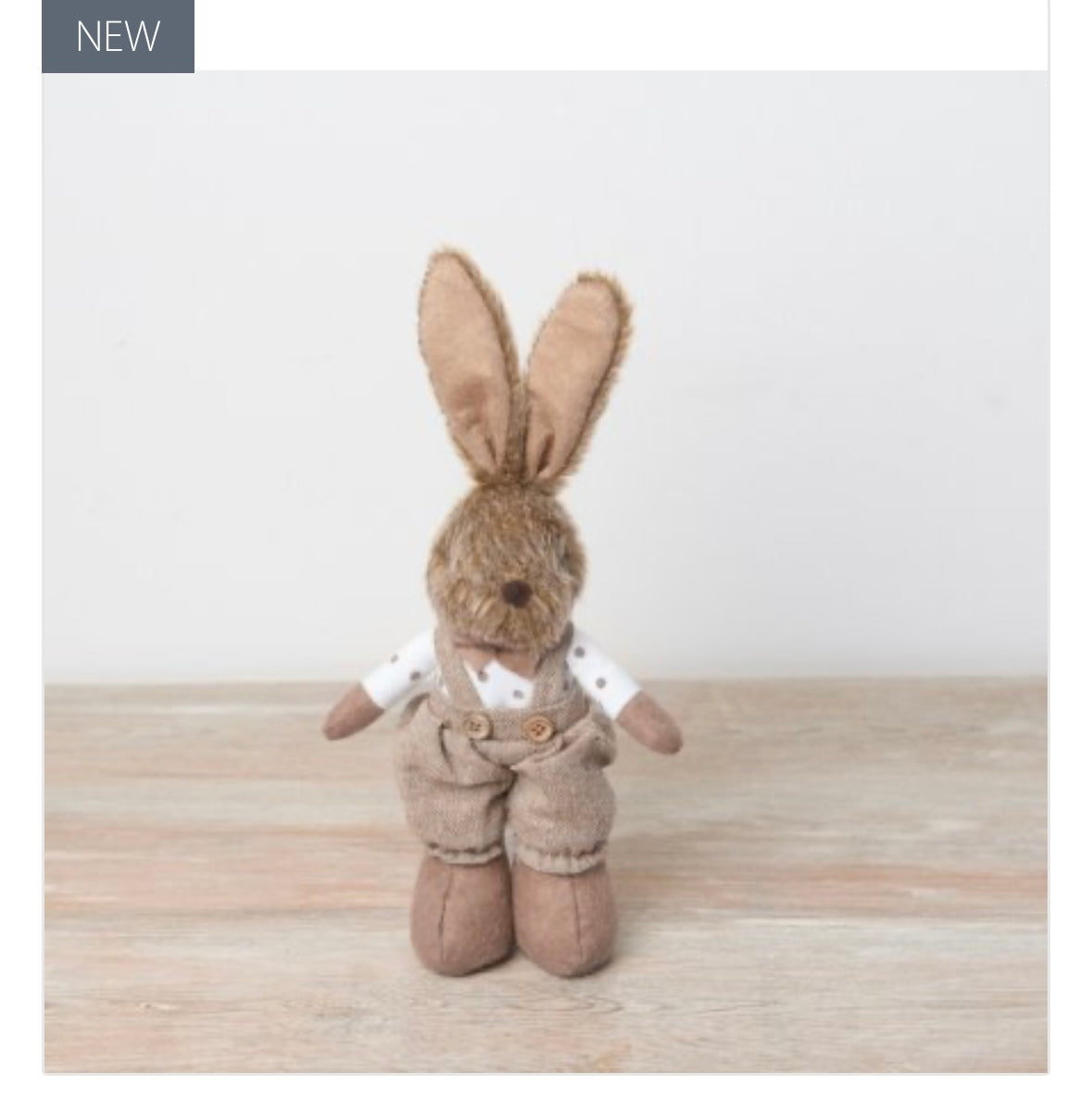 Rustic Boy Standing Bunny