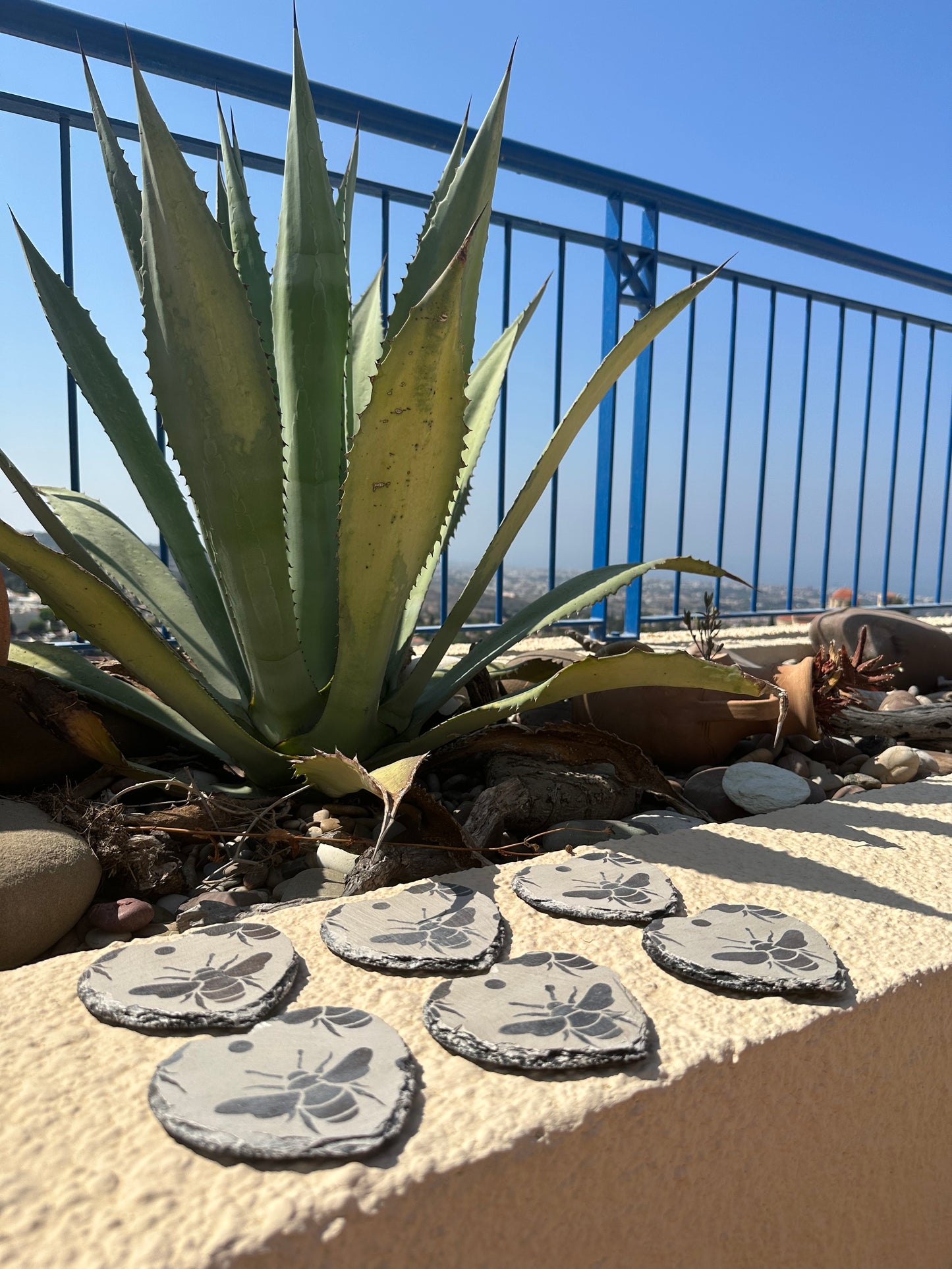 Bee Collection Hand Painted Slate Coasters