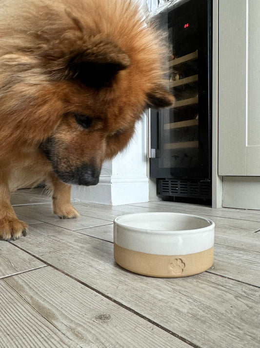 Stoneware Large Pet Bowl