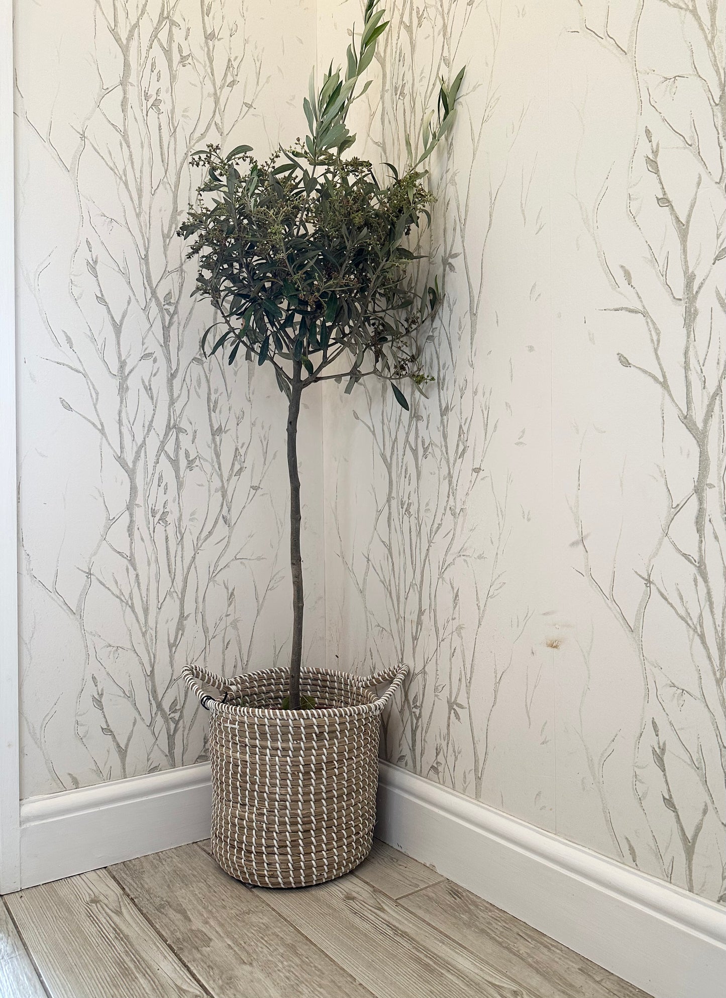 Seagrass Basket Planter