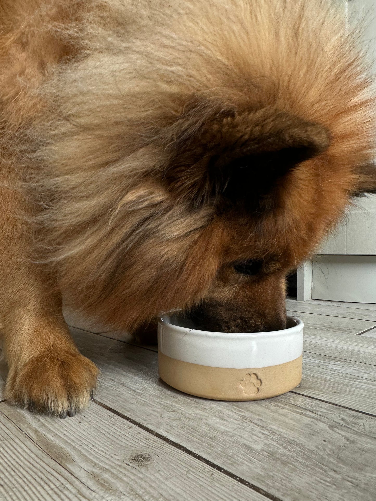 Stoneware Large Pet Bowl