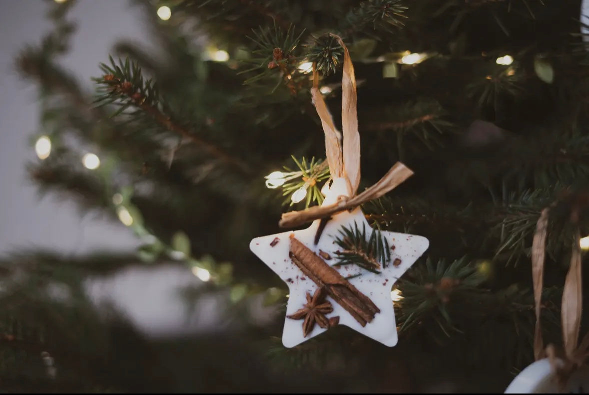 Christmas Wax Melts